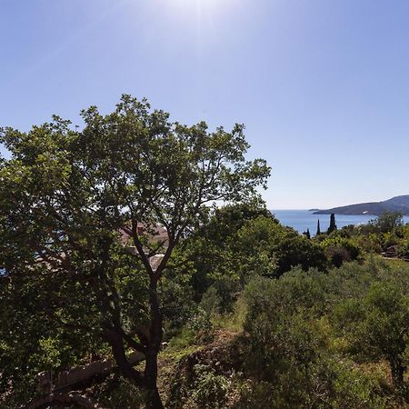 Villa Dubravka Mlini Quarto foto